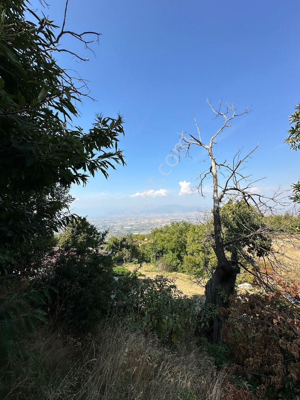 Akyörük Gayrimenkulden Satılık Tarla - Görsel 7