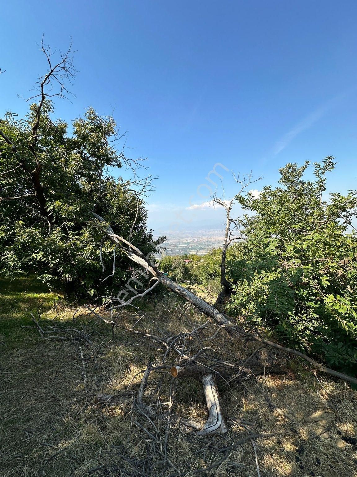 Akyörük Gayrimenkulden Satılık Tarla - Görsel 8
