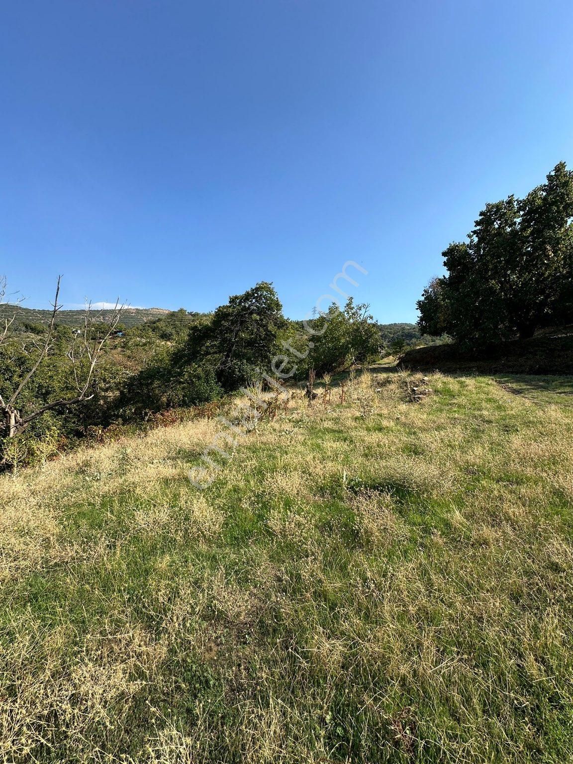 Akyörük Gayrimenkulden Satılık Tarla - Görsel 13