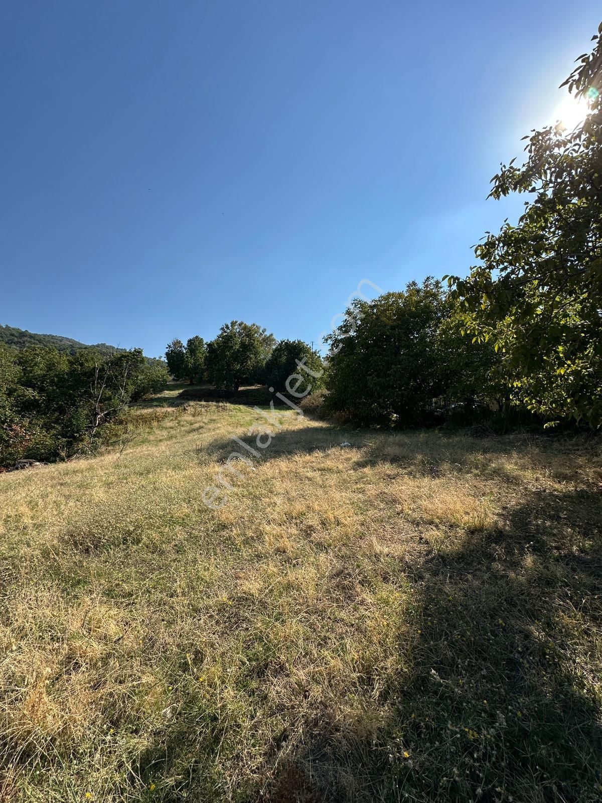 Akyörük Gayrimenkulden Satılık Tarla - Görsel 21