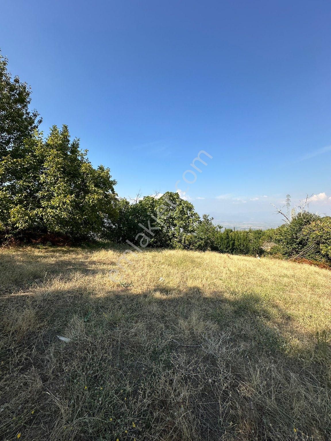 Akyörük Gayrimenkulden Satılık Tarla - Görsel 3