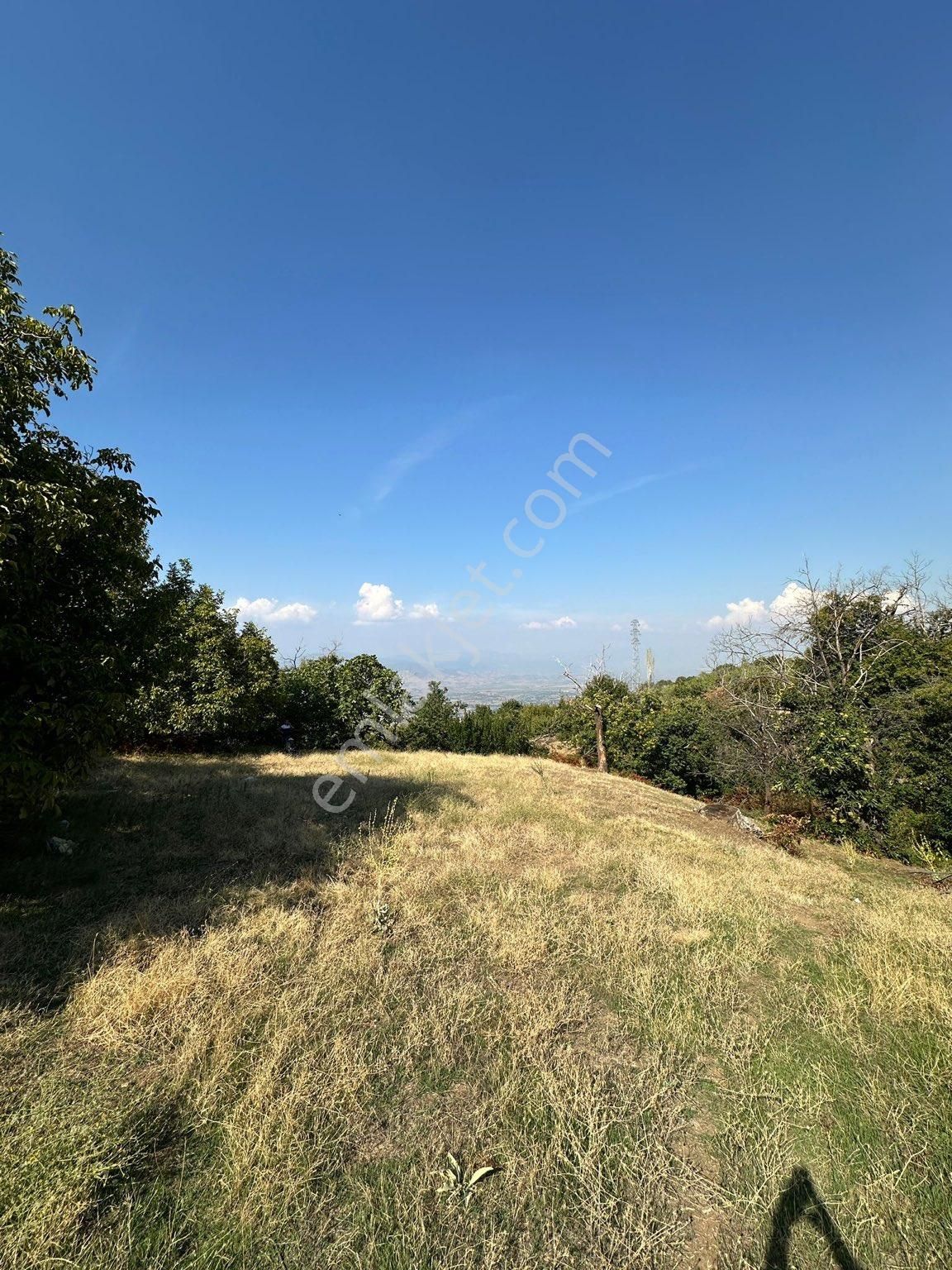 Akyörük Gayrimenkulden Satılık Tarla - Görsel 15