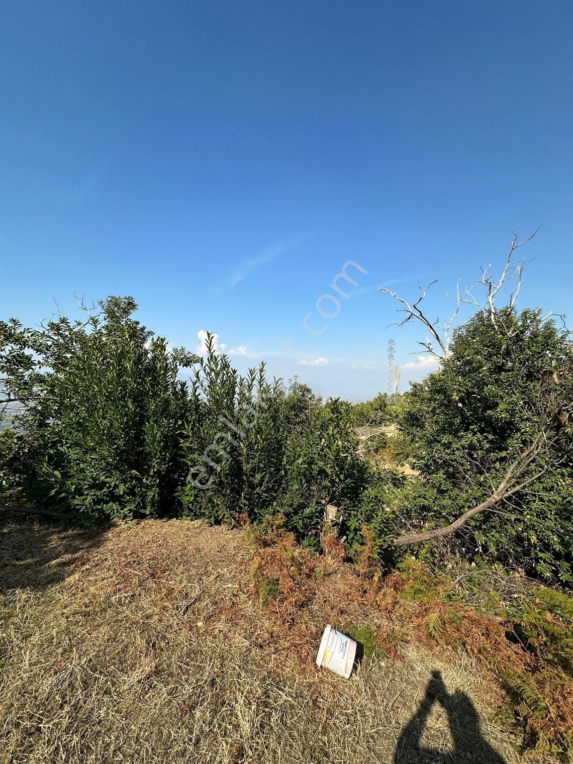 Akyörük Gayrimenkulden Satılık Tarla - Görsel 6