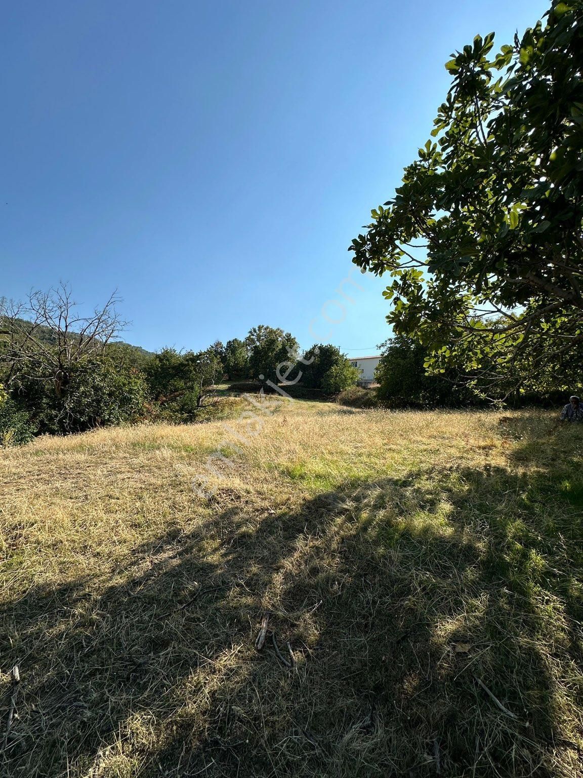 Akyörük Gayrimenkulden Satılık Tarla - Görsel 5