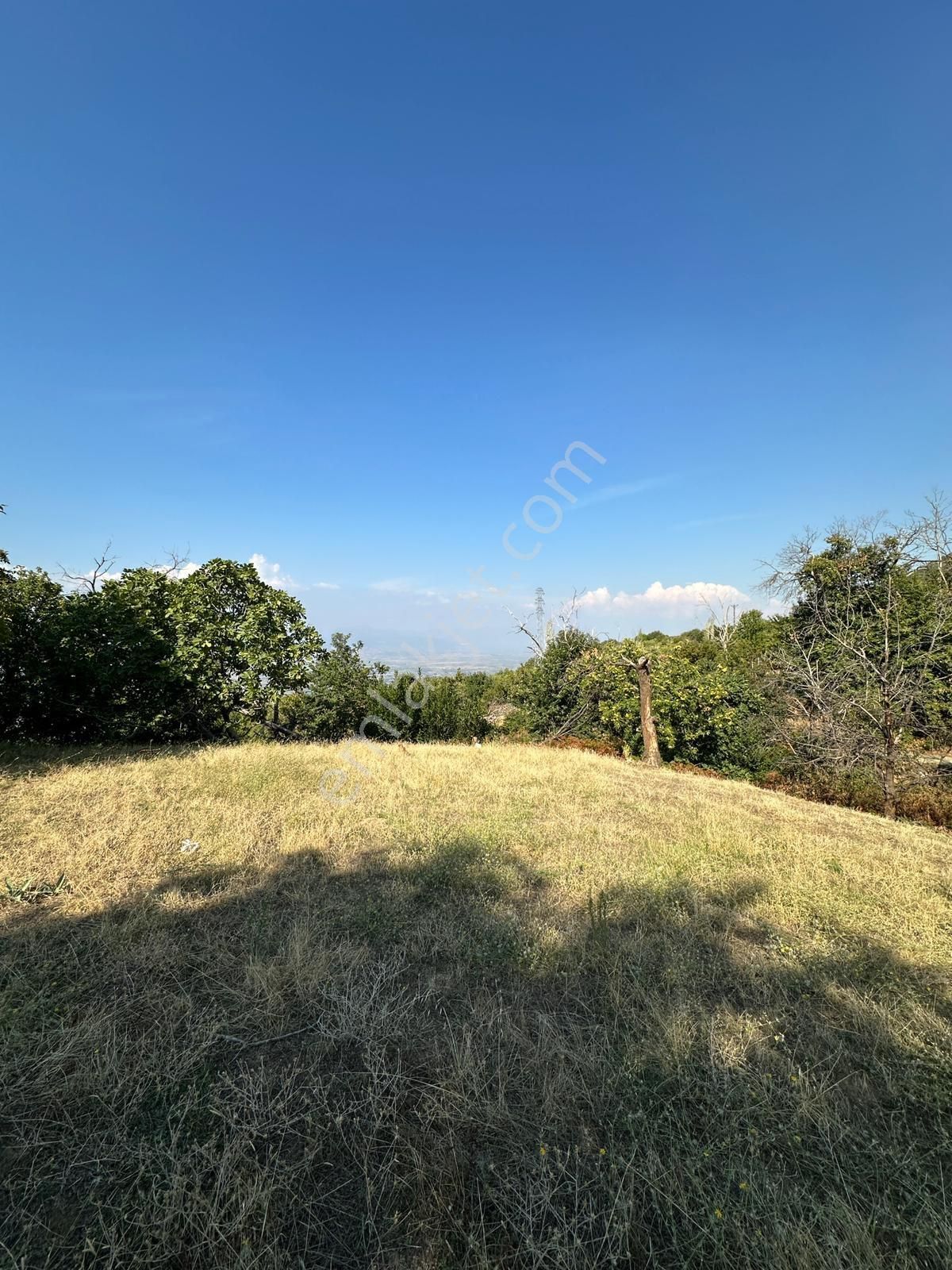 Akyörük Gayrimenkulden Satılık Tarla - Görsel 2