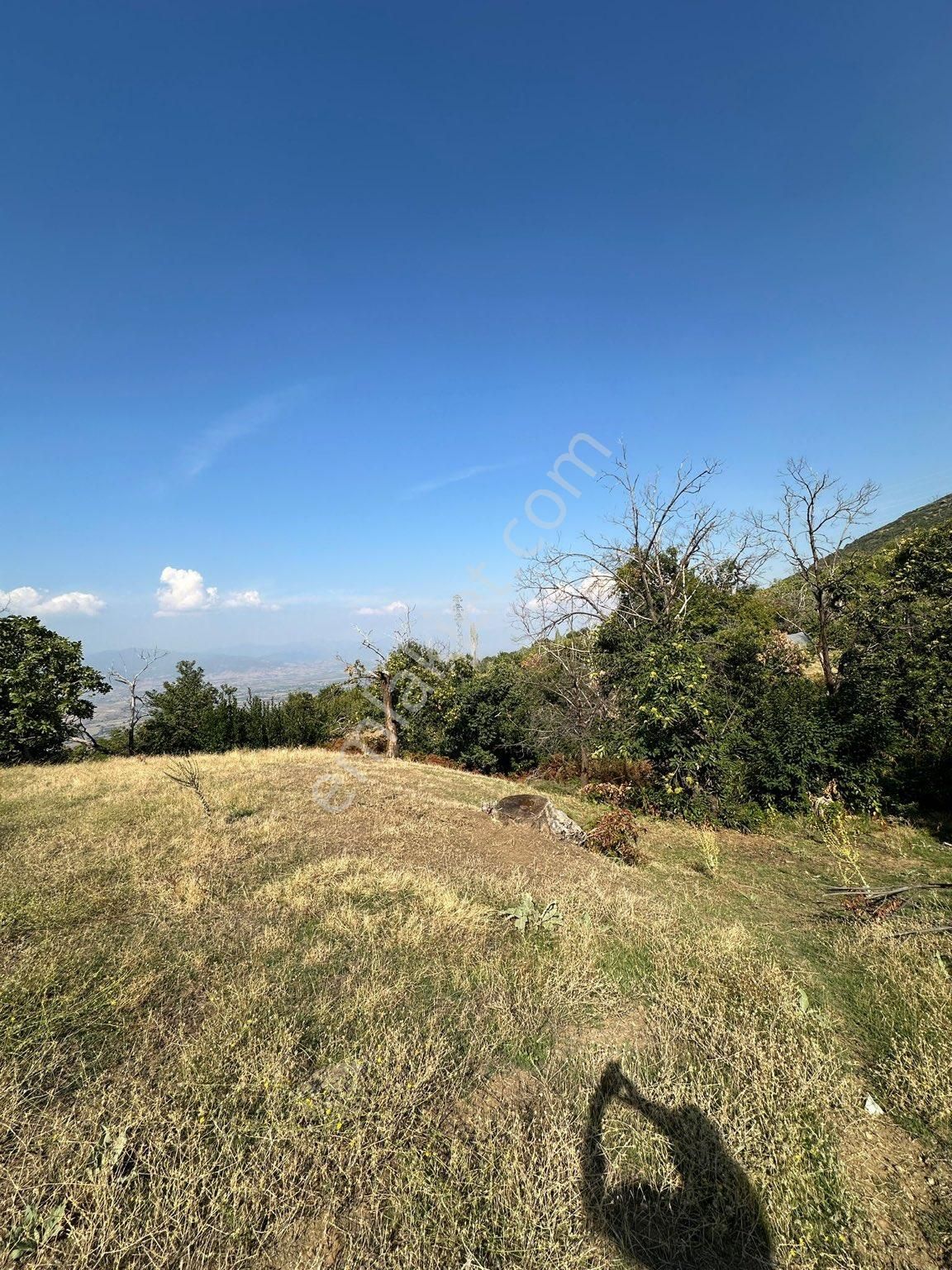 Akyörük Gayrimenkulden Satılık Tarla - Görsel 11