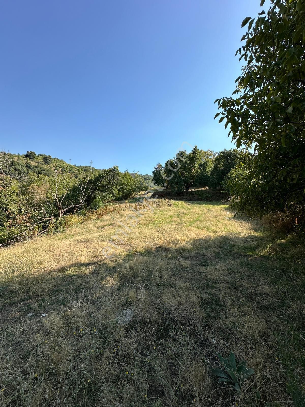 Akyörük Gayrimenkulden Satılık Tarla - Görsel 12