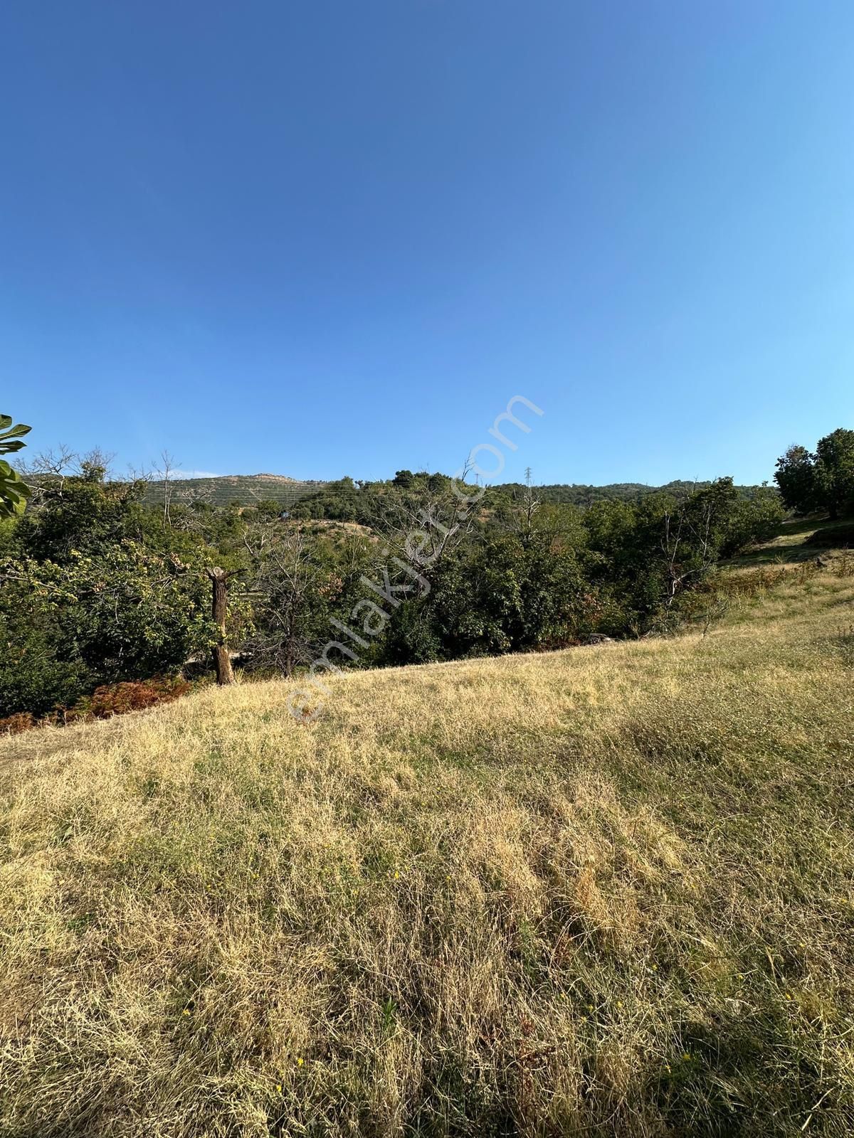 Akyörük Gayrimenkulden Satılık Tarla - Görsel 22