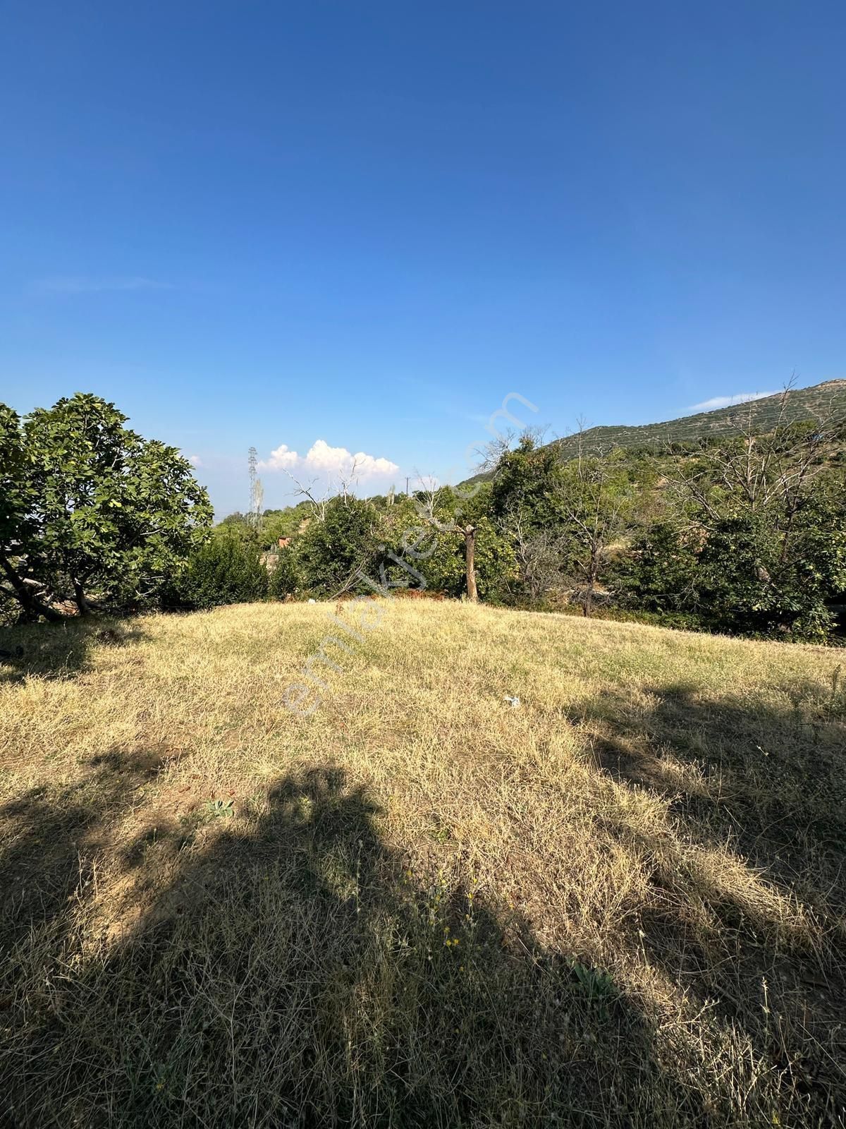 Akyörük Gayrimenkulden Satılık Tarla - Görsel 17