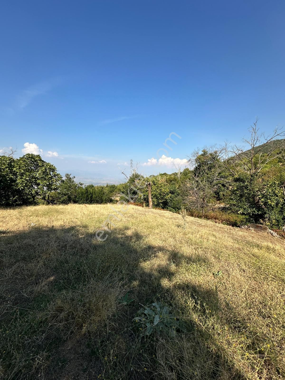 Akyörük Gayrimenkulden Satılık Tarla - Görsel 14