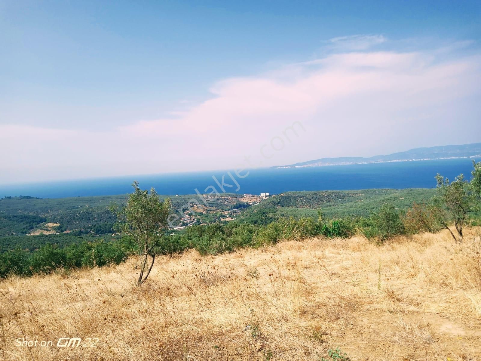 Mudanya Tirilye Satılık Tarla Triye Deniz Manzaralı,yol Boyu Satılk Zeytinlik,takasa Açık