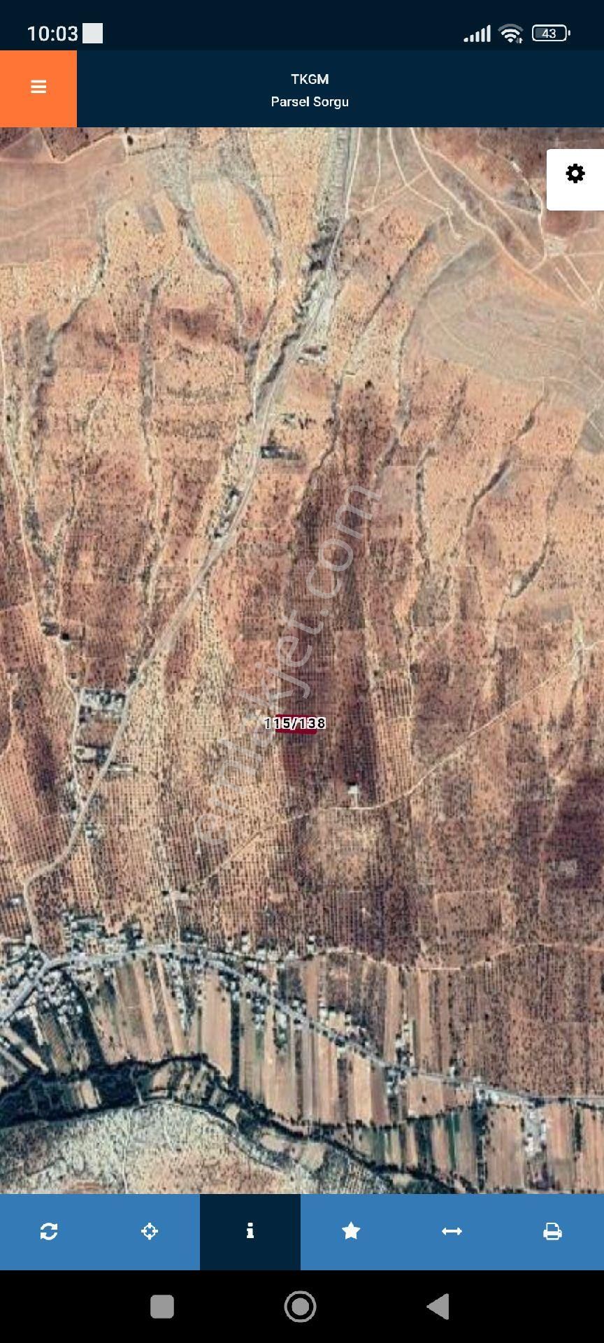 Asil Evim Emlak'tan Satılık Bağ Evlik Mahsüllü Tarla - Görsel 6
