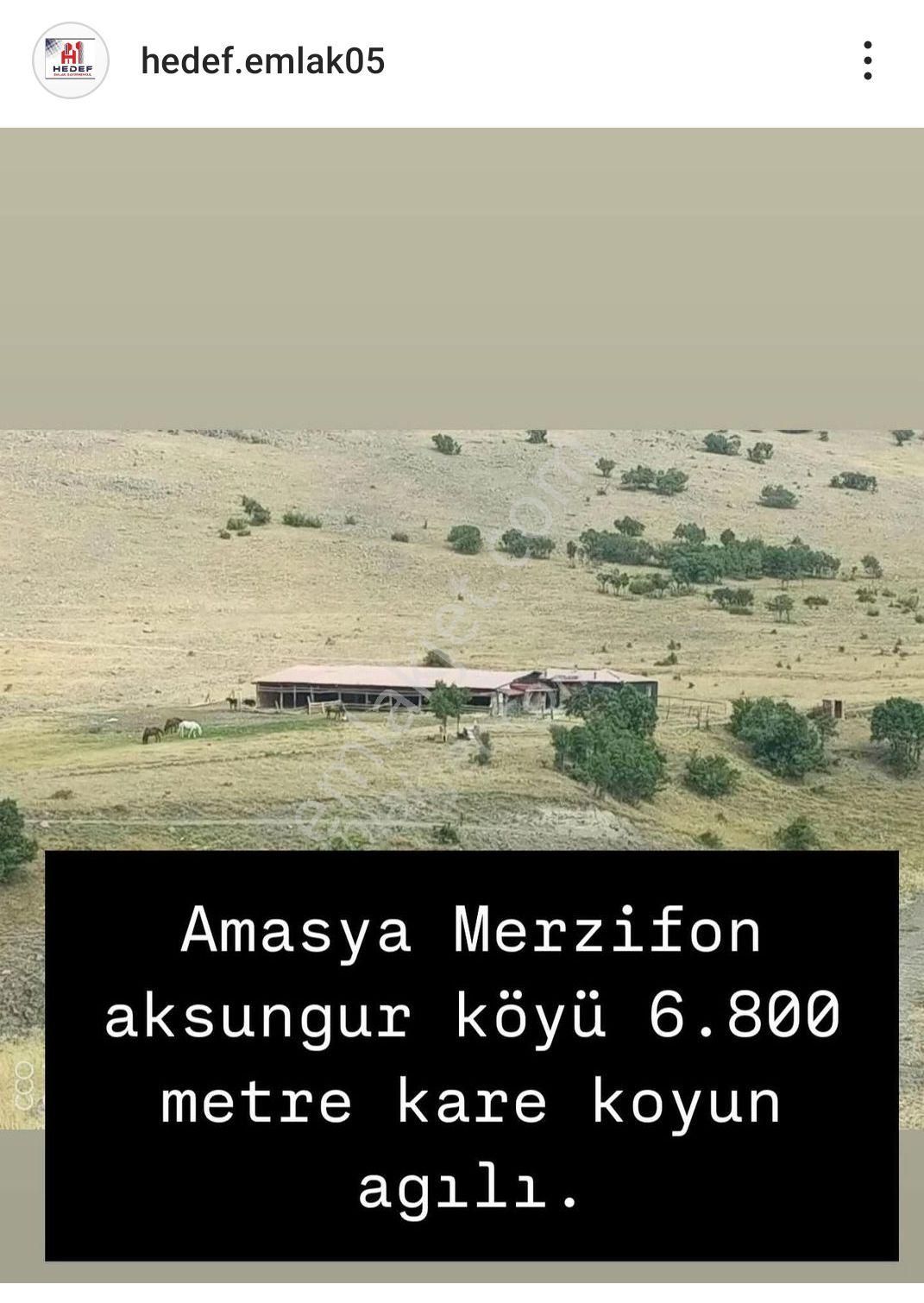 Merzifon Aksungur Köyü (Merkez) Satılık Tarla Hedef Emlak tan Satılık Ahır