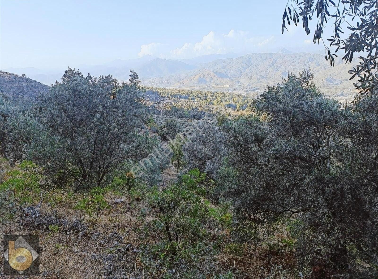 Fethiye Bozyer Satılık Tarla Muğla Fethiye Bozyer Mahallesi'nde Satılık Tarla