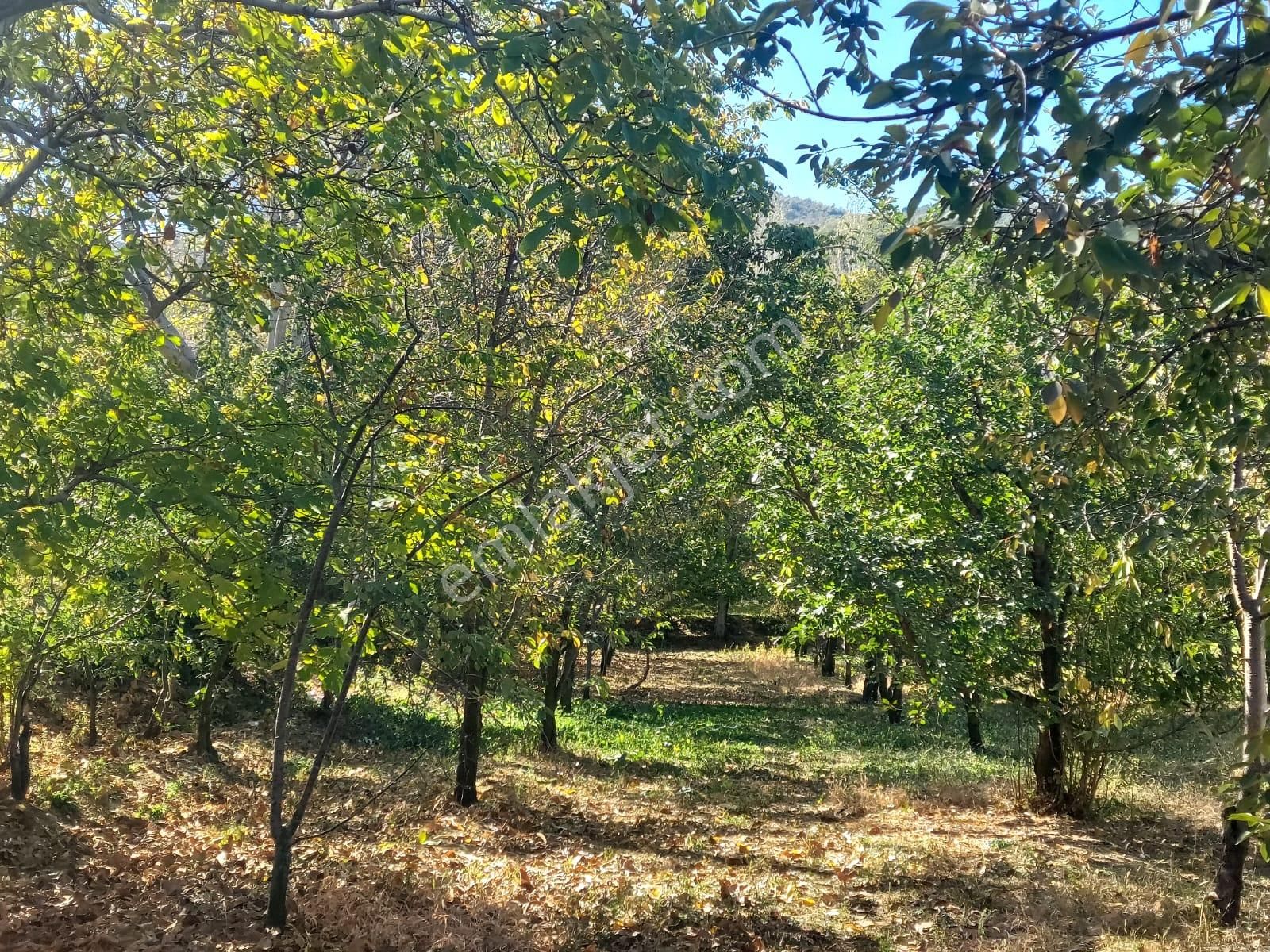 Bizimim Emlaktan Atakent'te Muhteşem Konumda Hobi Bahçesi - Görsel 22