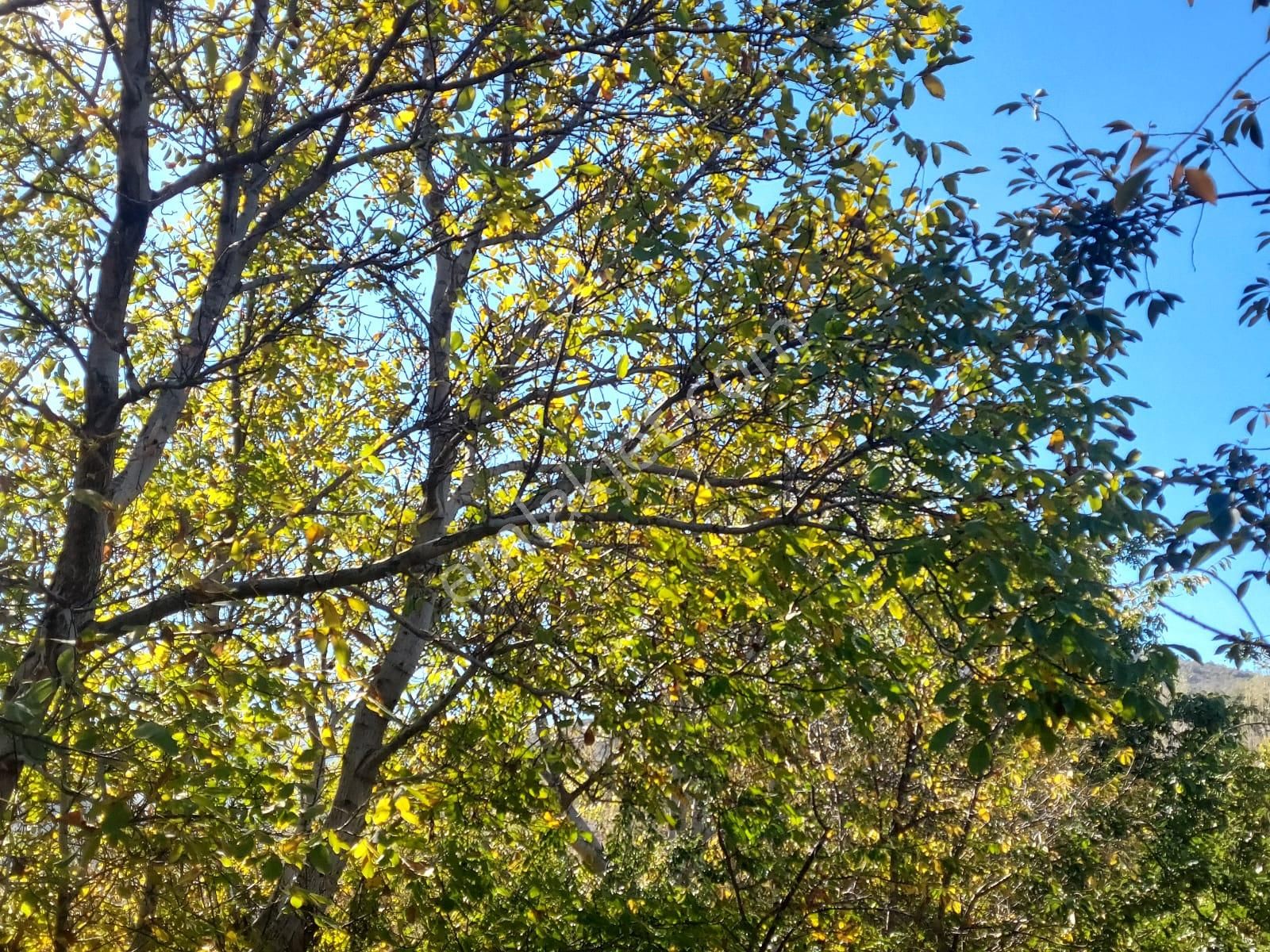 Bizimim Emlaktan Atakent'te Muhteşem Konumda Hobi Bahçesi - Görsel 8