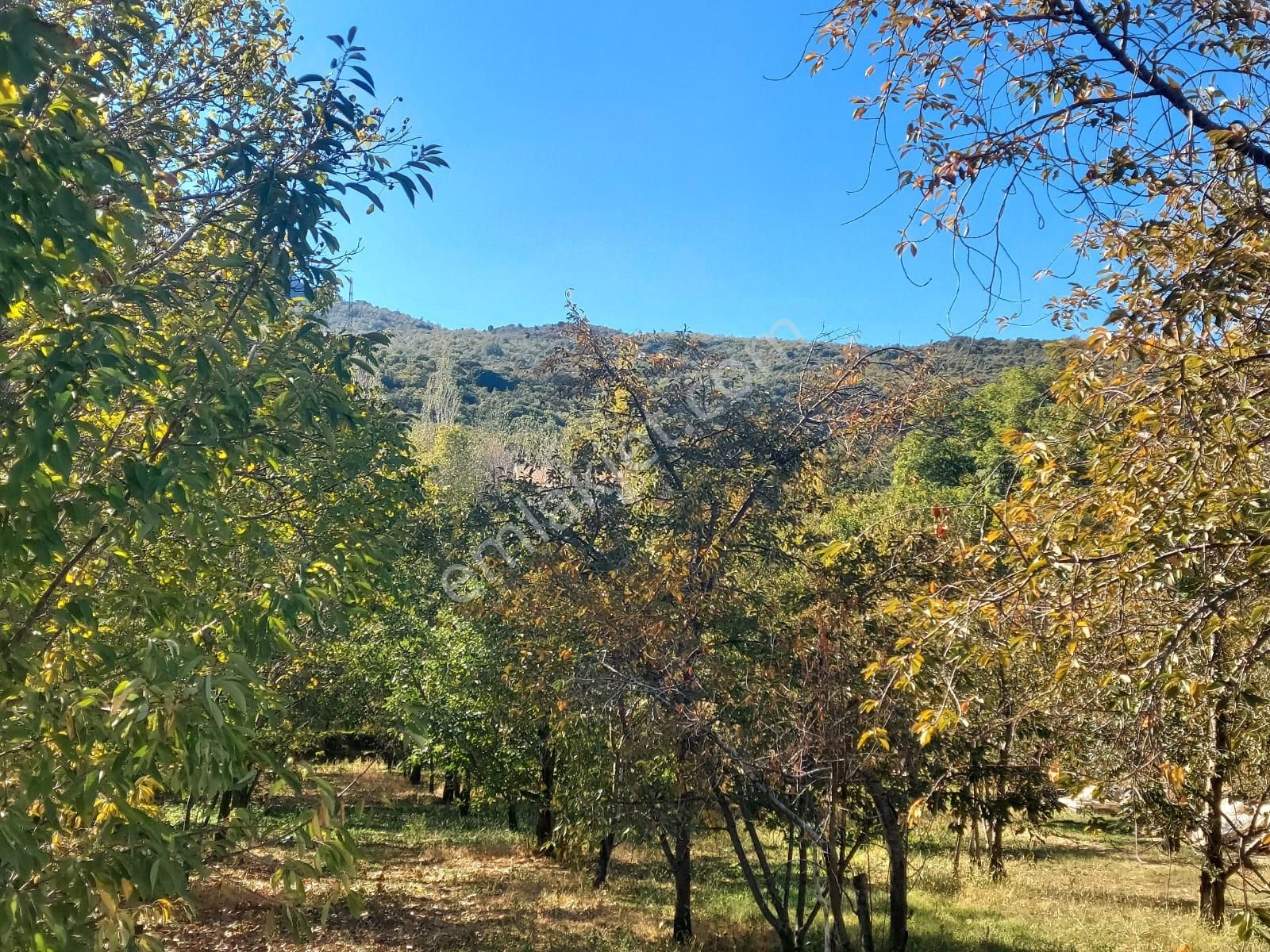Bizimim Emlaktan Atakent'te Muhteşem Konumda Hobi Bahçesi - Görsel 21