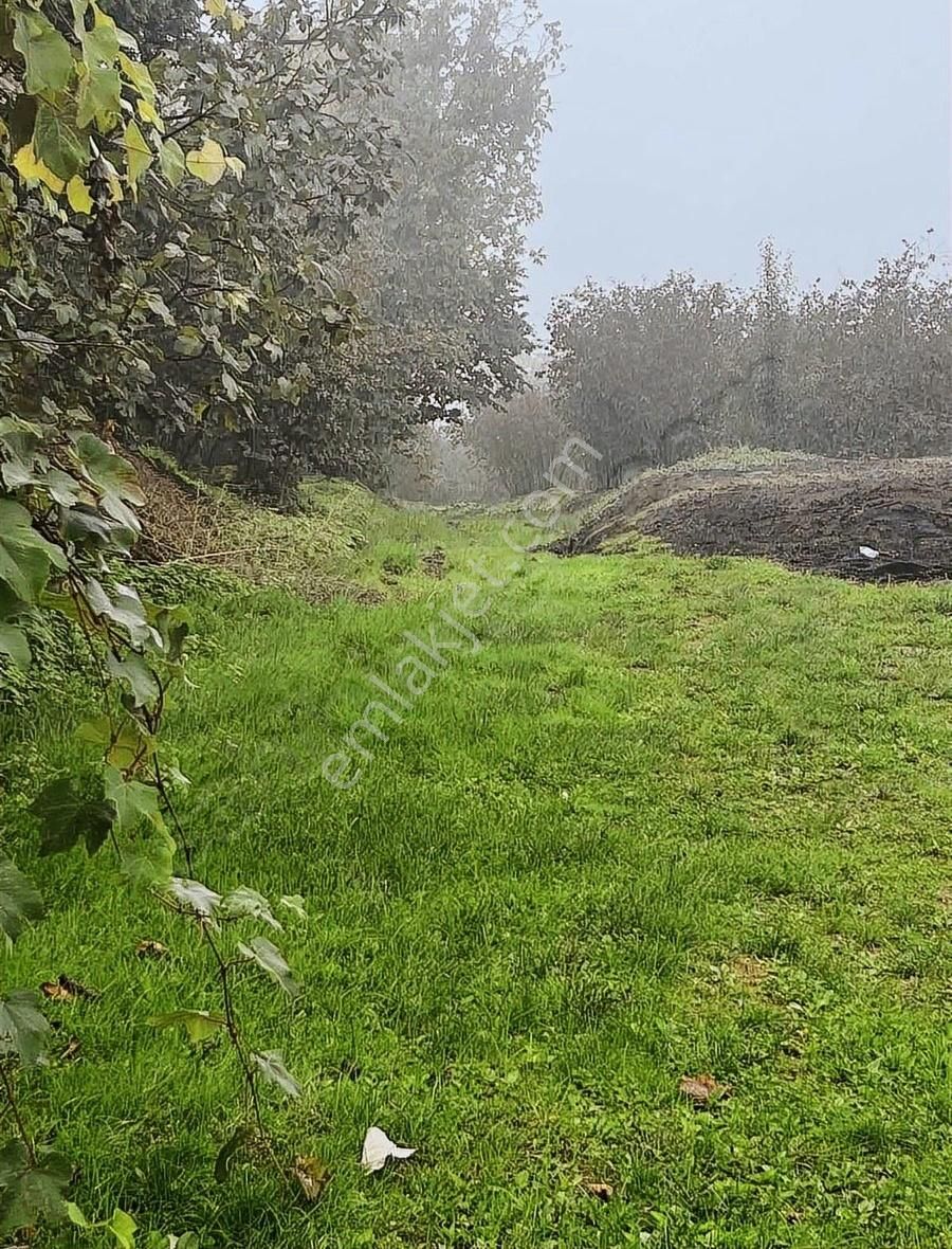 Hendek Kırktepe Satılık Konut İmarlı Hendek Kırktepe Mah Süper Köy İçi İmarlı Arsa Ve Arsalar