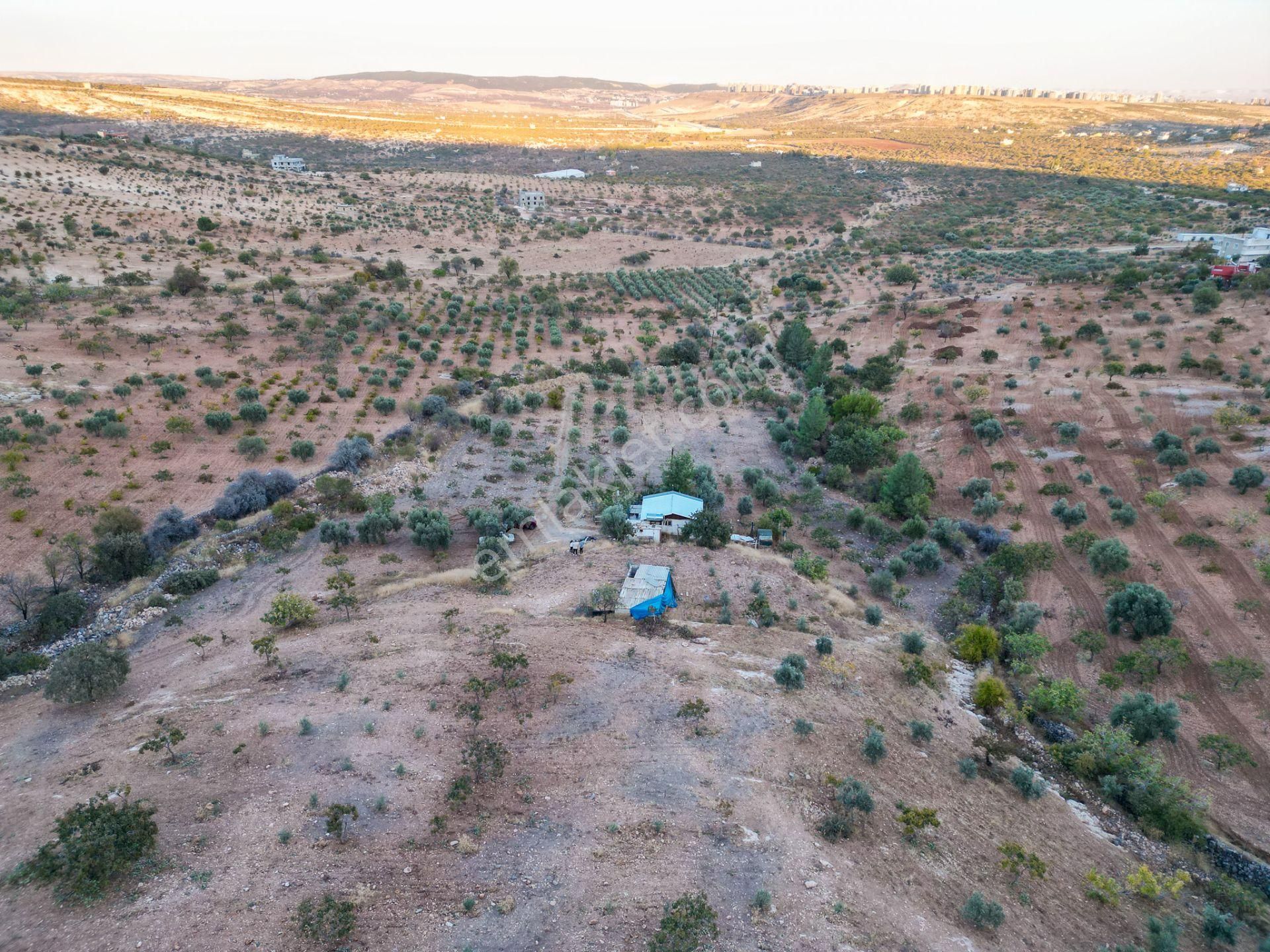 Karaköprü Aşıkköy Satılık Tarla  WORLD İLKEVİMDEN KARAKÖPRÜ AŞIK'TA İMARA YAKIN SATILIK TARLA (VİDEOLU)