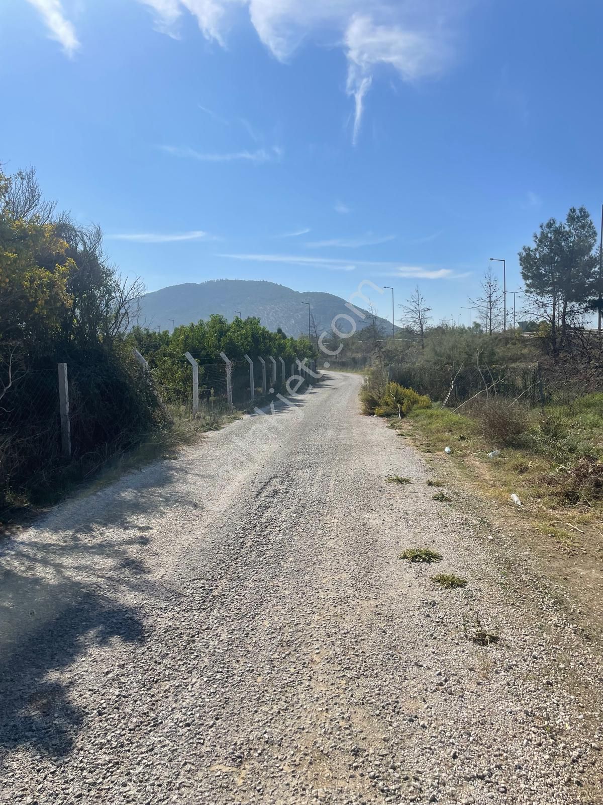 Selçuk Belevi Satılık Tarla İzmir-kuşadası Otobanı Yol Kenarı Satılık Tarla