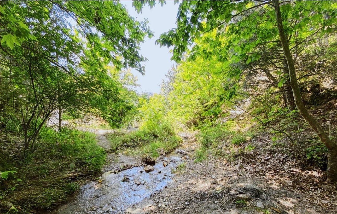 Babadağ Yeniköy Satılık Tarla Redstone Myra Dan Babadağ Yeniköy De Satılık Tarla