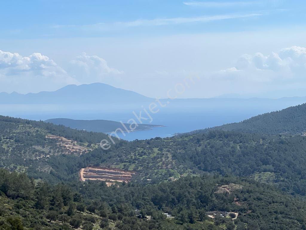 Bodrum Çiftlik Satılık Tarla Bodrum Çiftlik'te Satılık Arazi