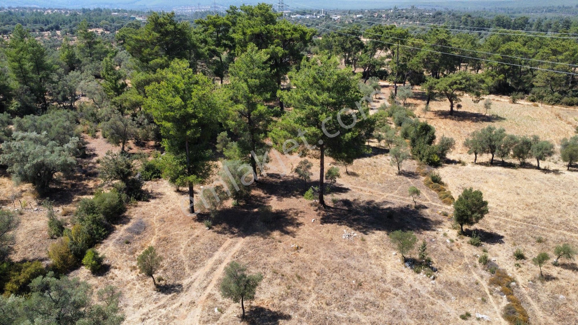 Pınarlıbelen'de Doğanın Merkezinde Satılık Tarla - Görsel 11