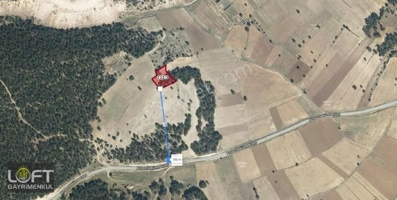 Altıntaş Pınarcık Köyü Satılık Tarla Altıntaş Pınarcıkta Zafer Osb 20 Km 2164m2