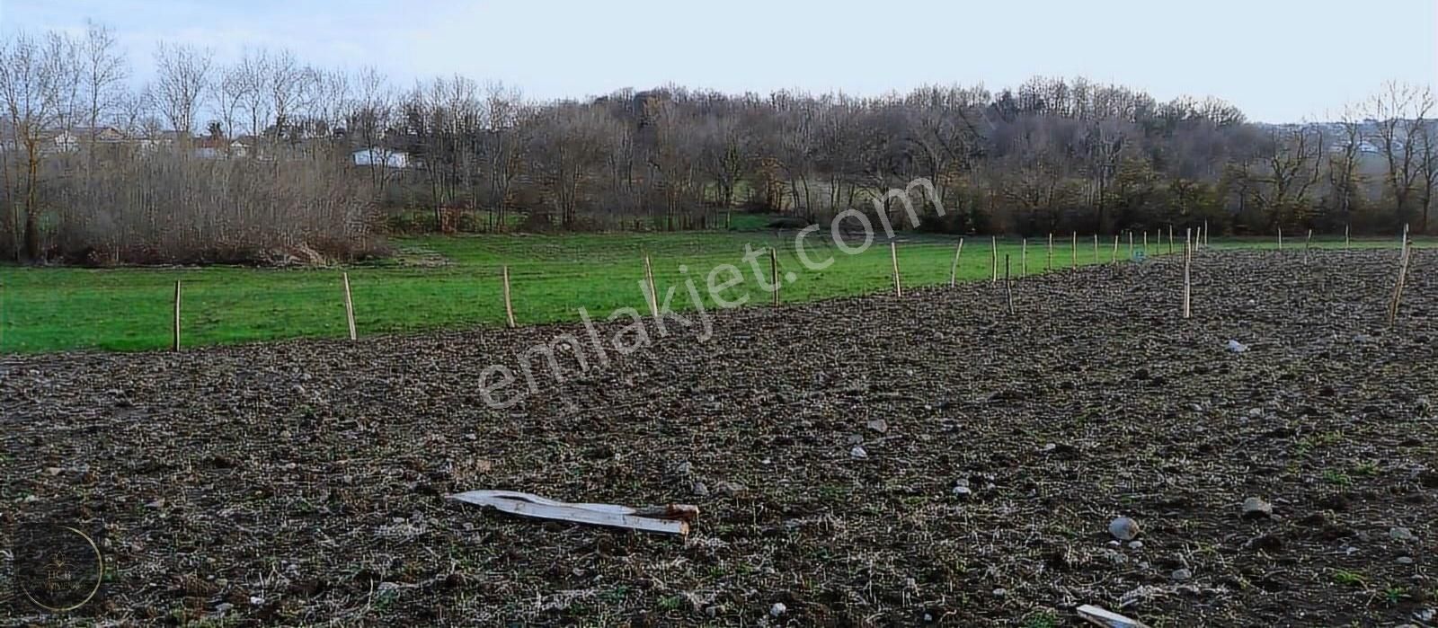 Kandıra Çamkonak Satılık Tarla HCB'DEN KANDIRA ÇAMKONAK SATILIK ARSA