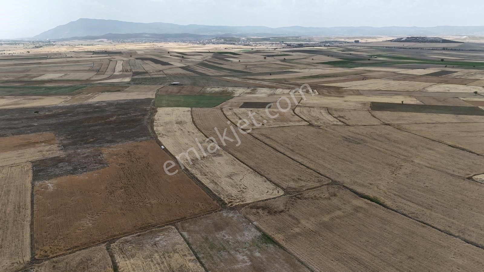 Dazkırı Vehbi Koç Sanayi Sitesi Yakını 10.000 M2 Fırsat Arazi