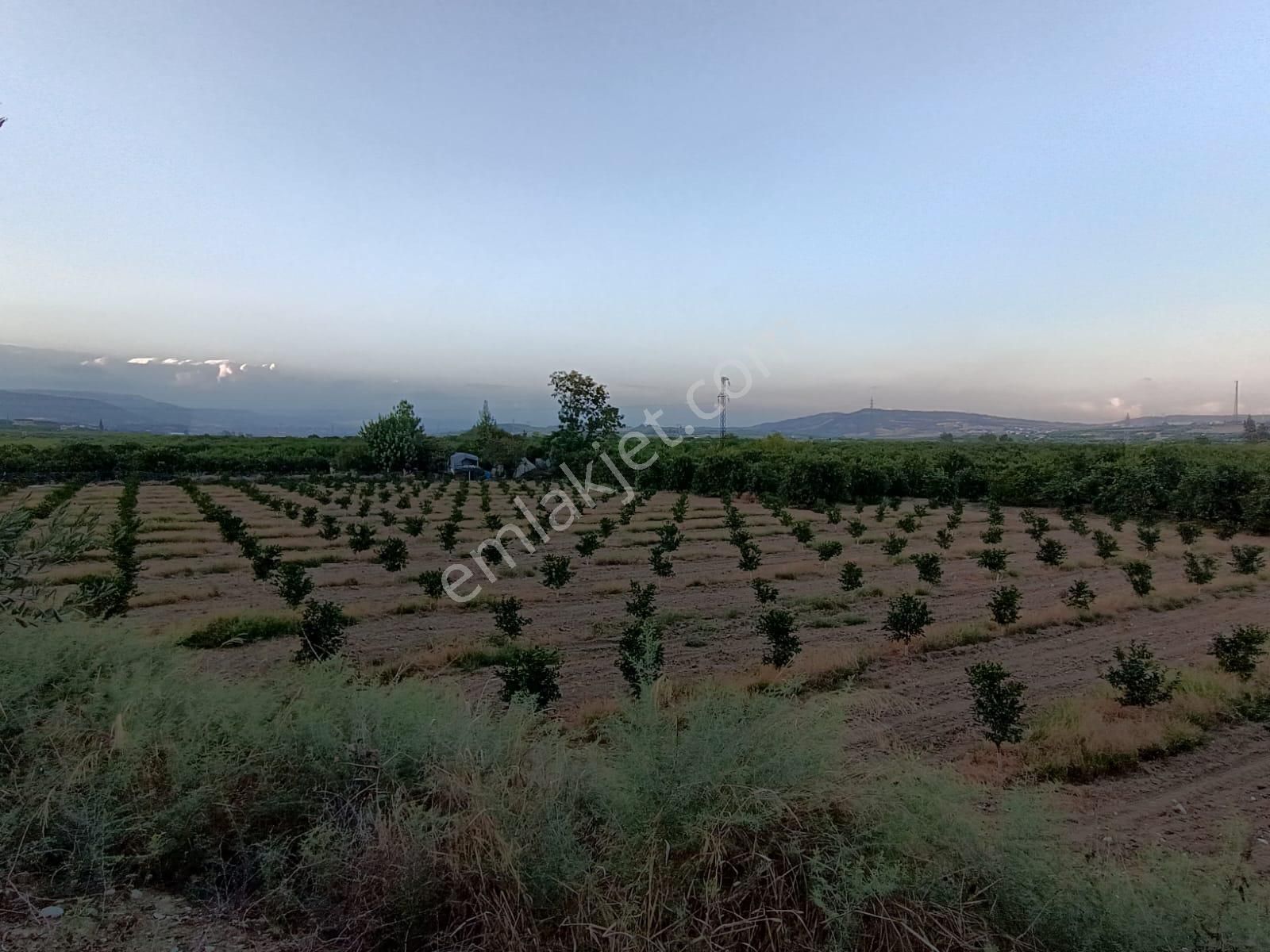 Akdeniz Demirhisar Satılık Tarla  GARDEN 33'TEN DEMİRHİSAR'DA YATIRIMLIK ANAYOLDA 6100M2 ARSA 