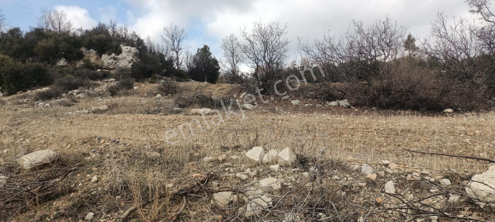 Aydıncık Emlaktan Satılık Tarla 12425m2 - Görsel 5