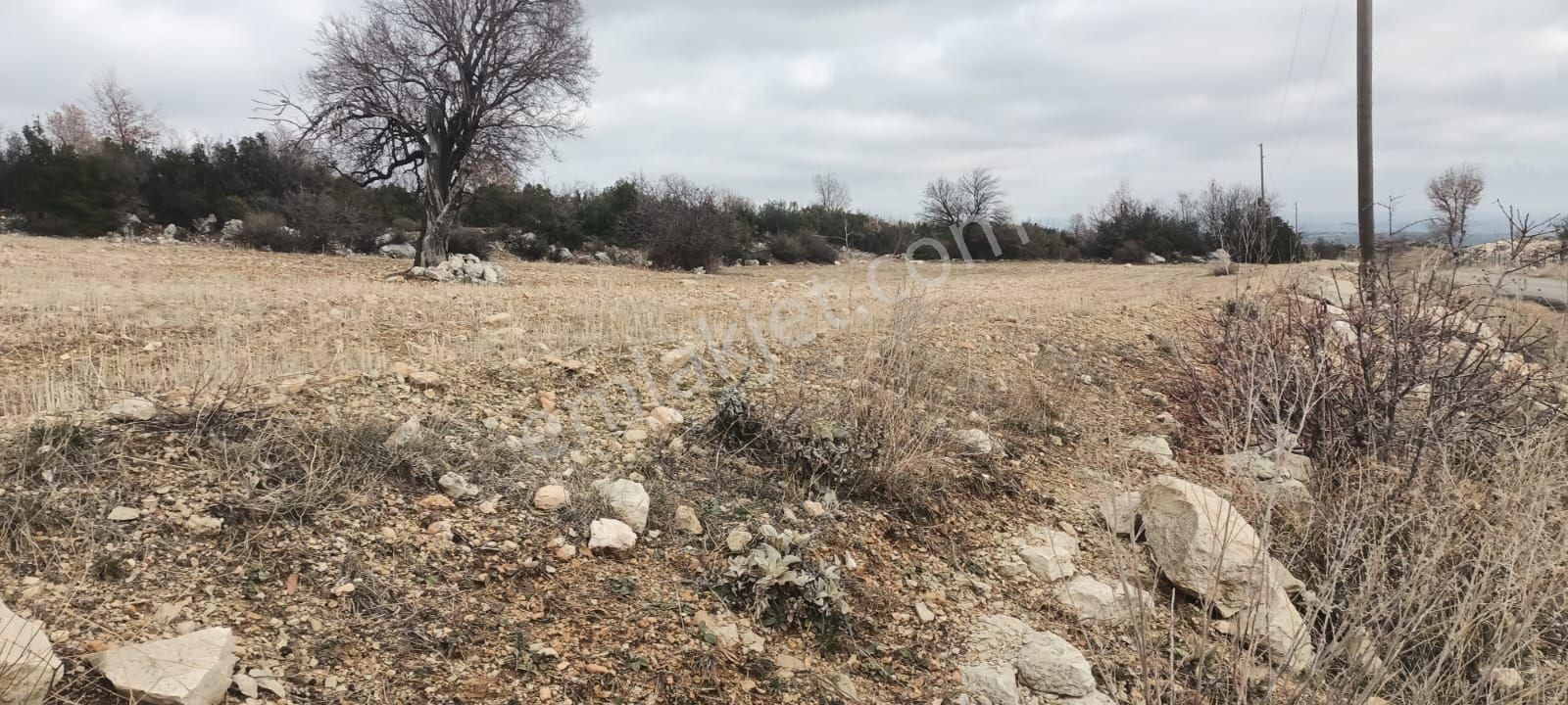 Aydıncık Emlaktan Satılık Tarla 12425m2 - Görsel 3