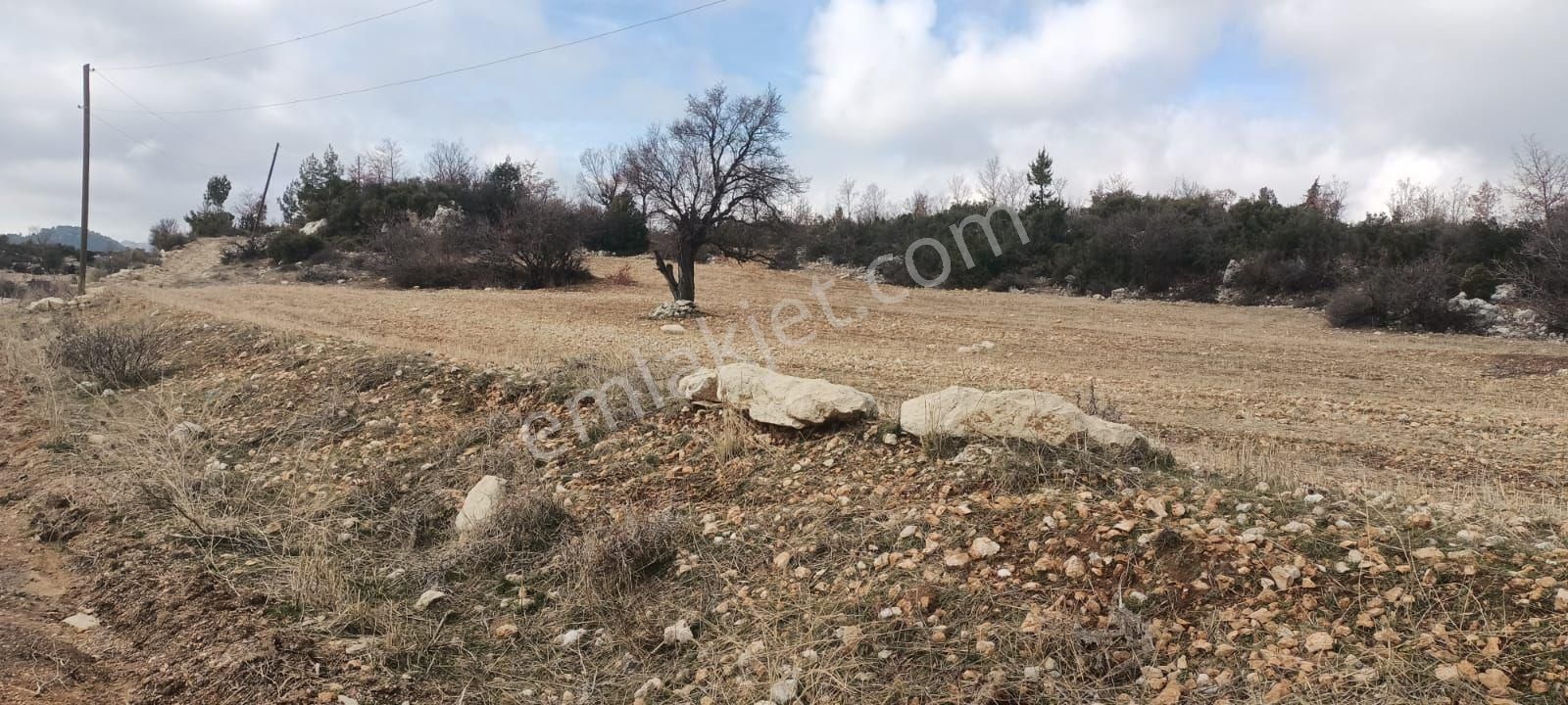 Aydıncık Emlaktan Satılık Tarla 12425m2 - Görsel 16