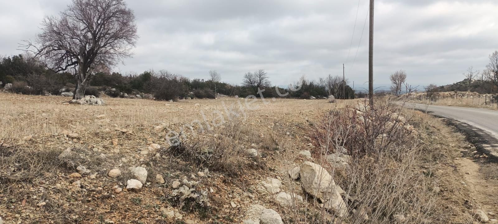 Aydıncık Emlaktan Satılık Tarla 12425m2 - Görsel 7