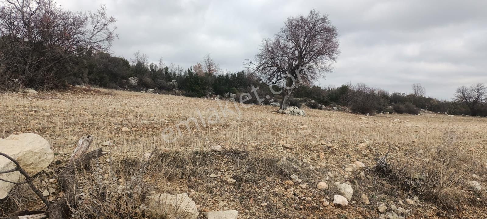 Aydıncık Emlaktan Satılık Tarla 12425m2 - Görsel 20