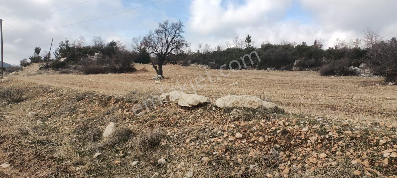 Aydıncık Emlaktan Satılık Tarla 12425m2 - Görsel 12