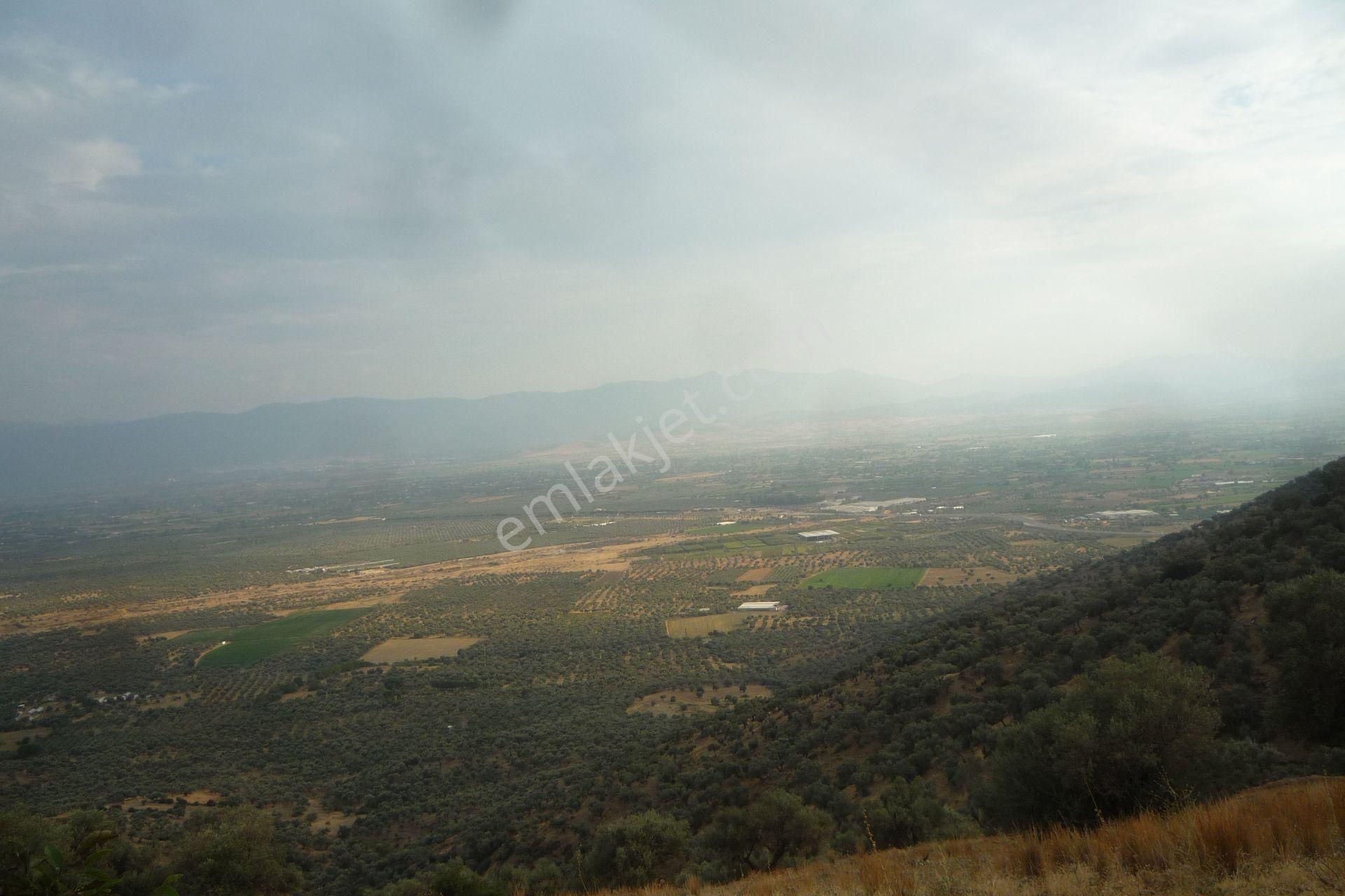 İzmir Torbalı Gold Emlaktan Satılık Harika Meyve Bahçesi - Görsel 9