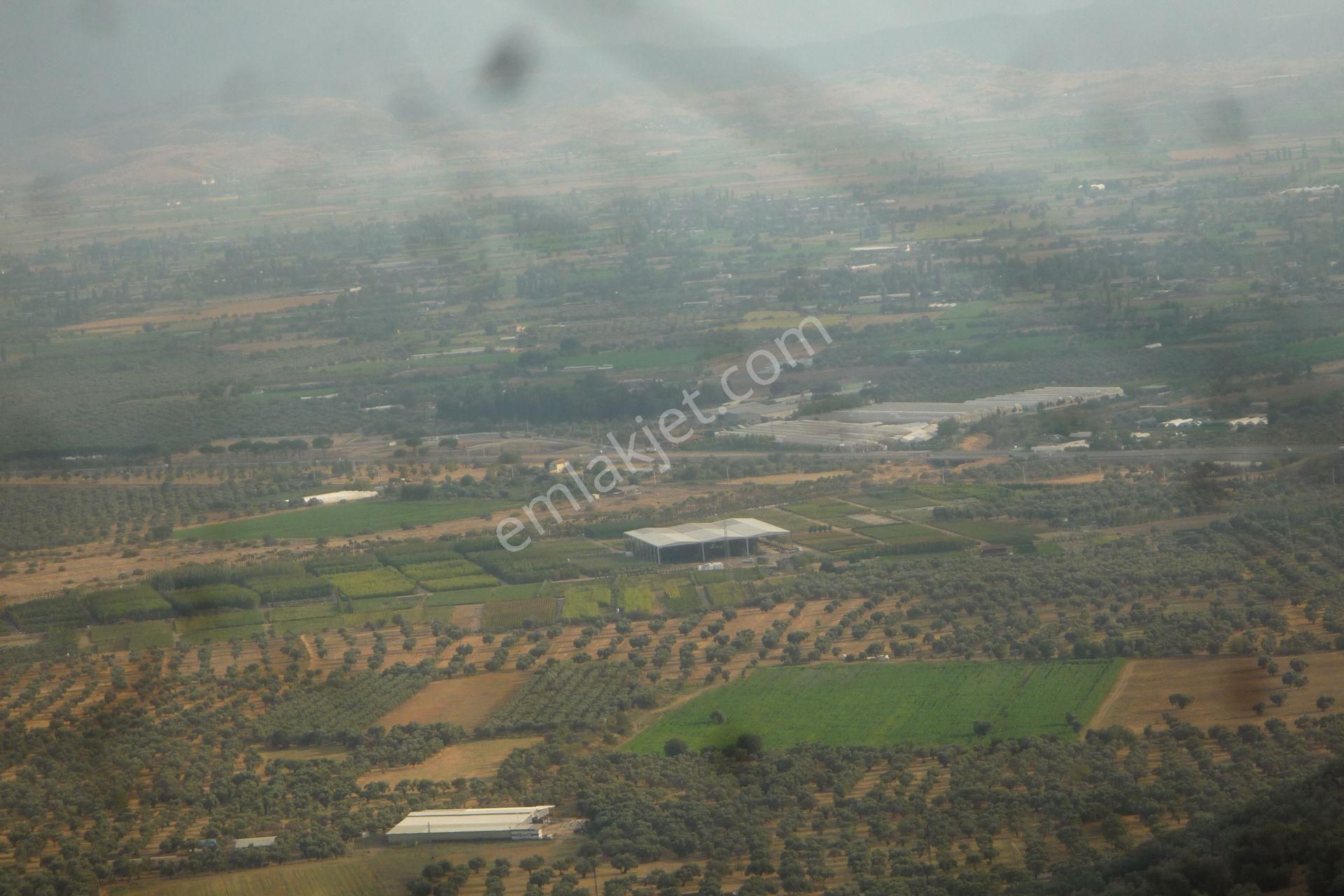 İzmir Torbalı Gold Emlaktan Satılık Harika Meyve Bahçesi - Görsel 12