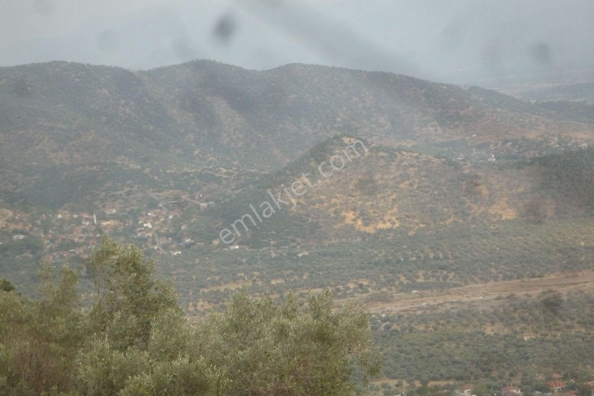 İzmir Torbalı Gold Emlaktan Satılık Harika Meyve Bahçesi - Görsel 14