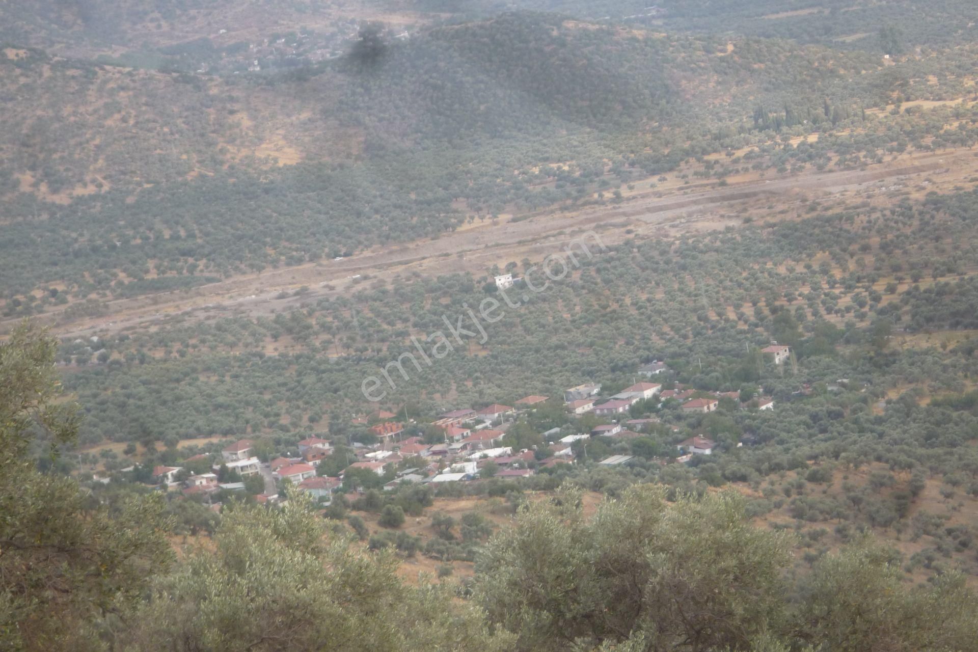 İzmir Torbalı Gold Emlaktan Satılık Harika Meyve Bahçesi - Görsel 11
