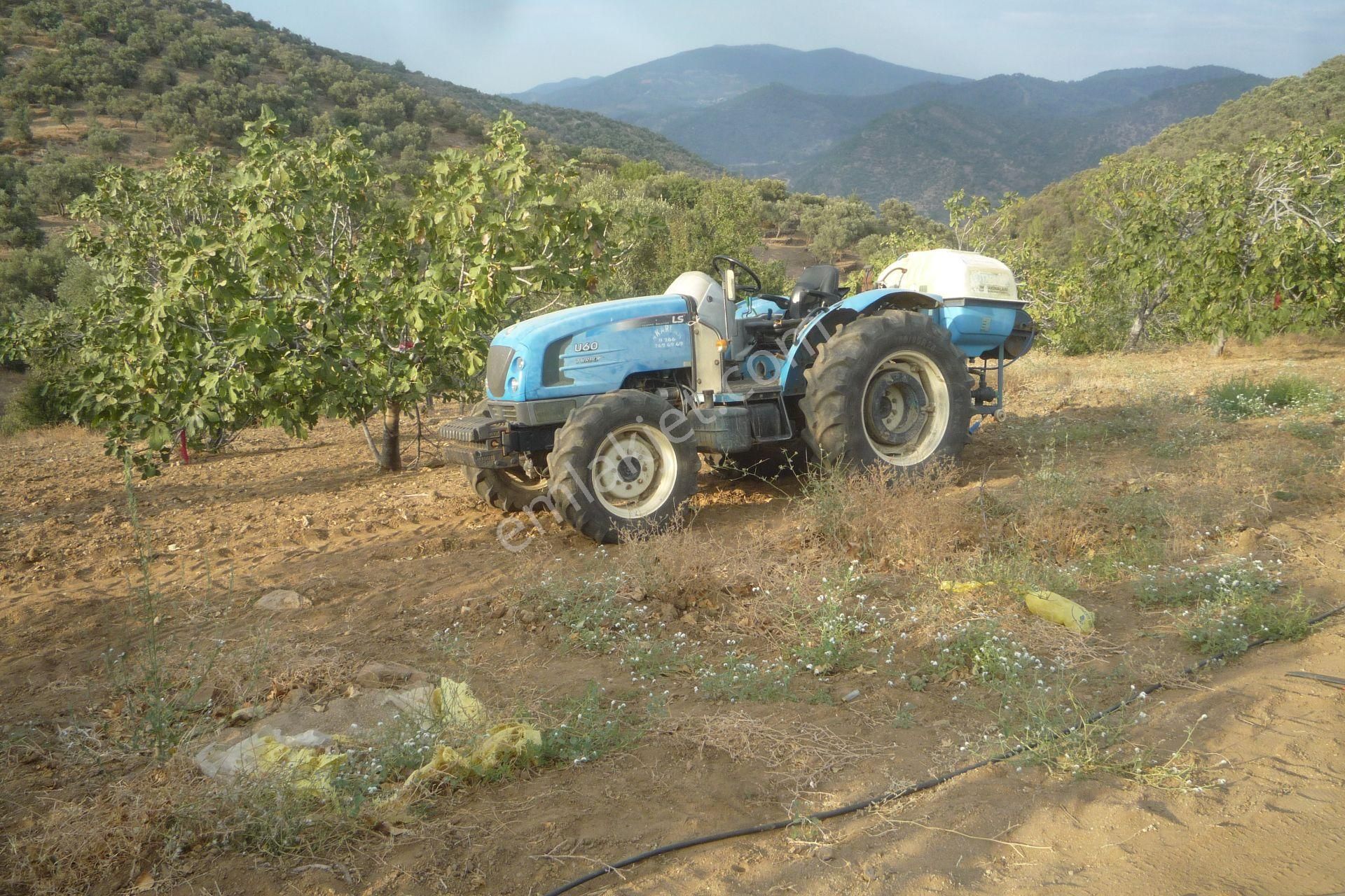 İzmir Torbalı Gold Emlaktan Satılık Harika Meyve Bahçesi - Görsel 30