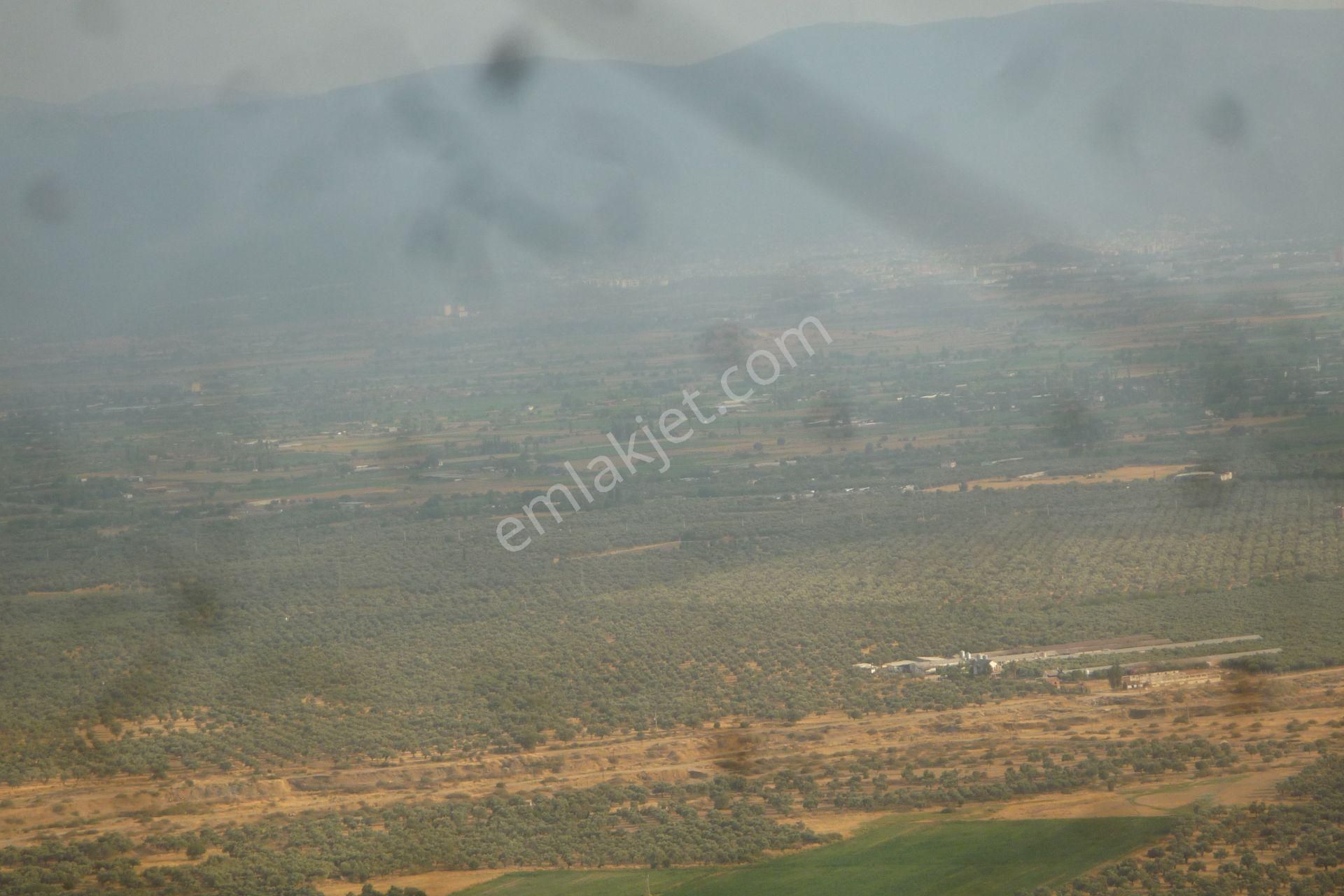 İzmir Torbalı Gold Emlaktan Satılık Harika Meyve Bahçesi - Görsel 13