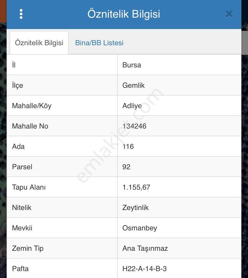 Saim Gencay Gayrimenkulden Gemlik Adliye Mevkii Satılık Zeytinlik - Görsel 7