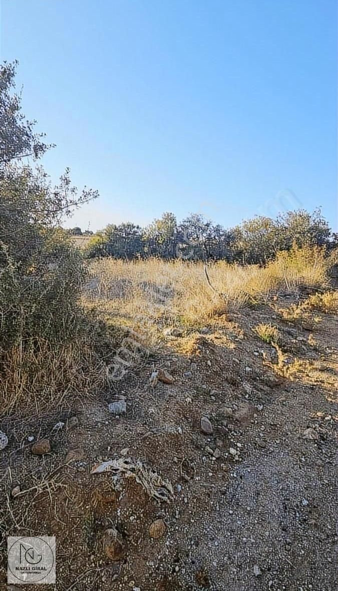 Çanakkale Merkez Aşağıokçular Köyü Satılık Tarla ÇANAKKALE MERKEZ KÖYDE SATILIK ARSA