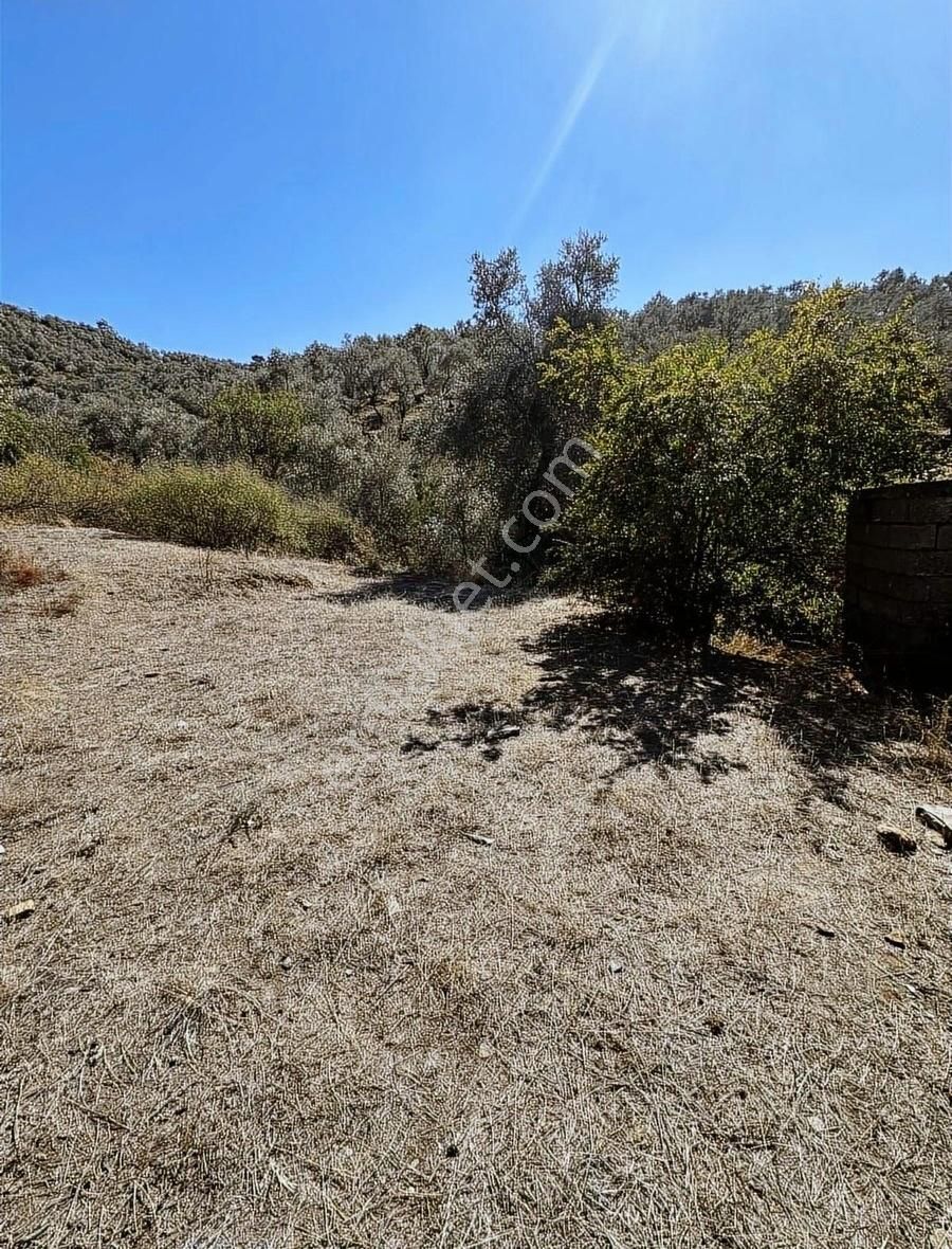 Milas/selimiye De Ulaşımı Kolay Selimiye'ye 5 Dk Ev Ve Arsası - Görsel 2