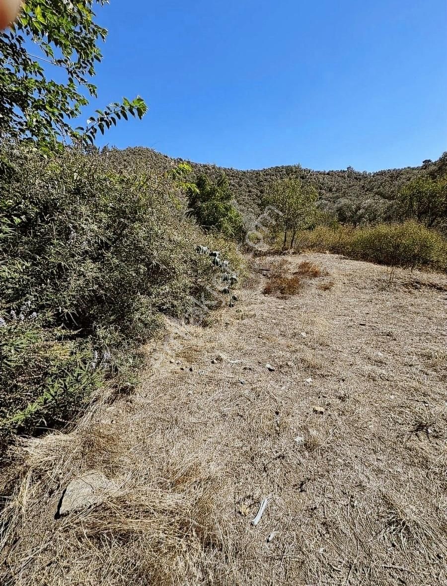 Milas/selimiye De Ulaşımı Kolay Selimiye'ye 5 Dk Ev Ve Arsası - Görsel 6