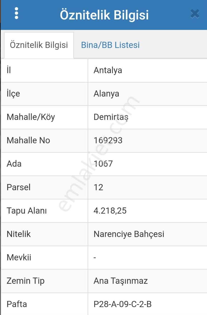 Alanya Demirtaş Satılık Bağ & Bahçe  ALANYA DEMİRTAŞ MERKEZ SATILIK NARANCİYE BAHÇESİ 4.218M2  45.000.000TL