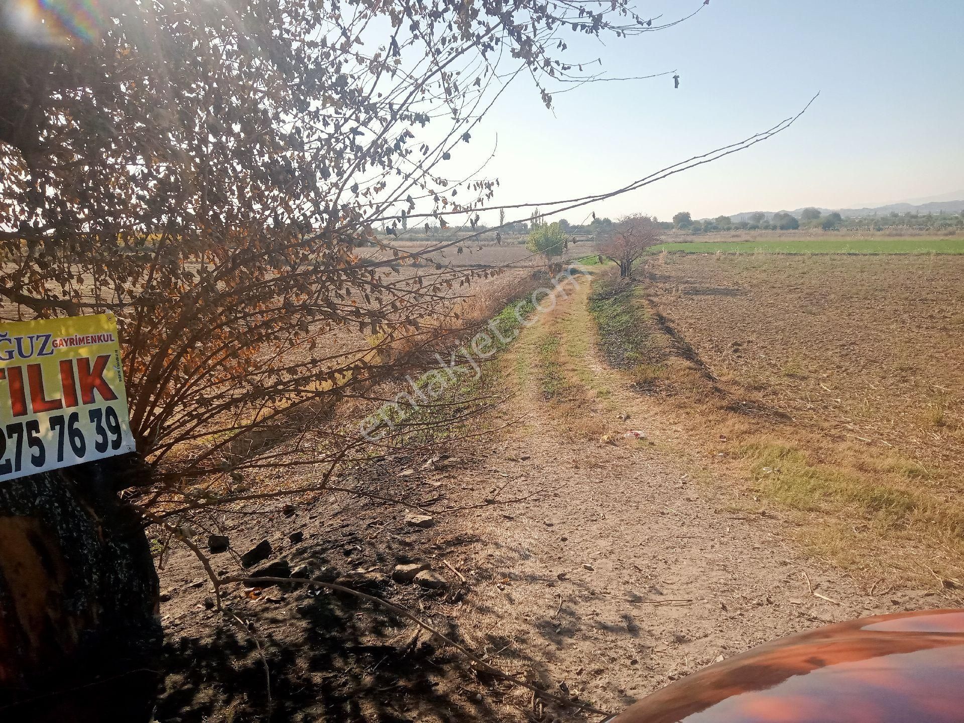 Sultanhisar Hisar Mah Tarla - Görsel 2