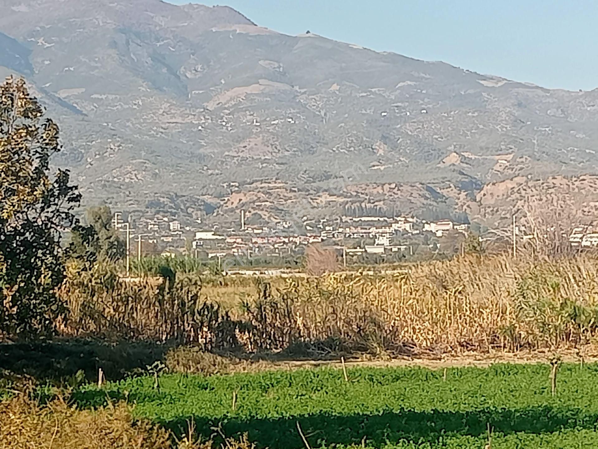 Sultanhisar Hisar Mah Tarla - Görsel 13